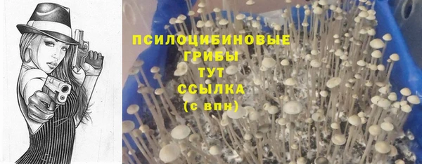 меф Снежногорск