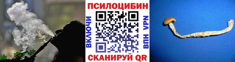Галлюциногенные грибы мицелий купить наркоту Высоцк