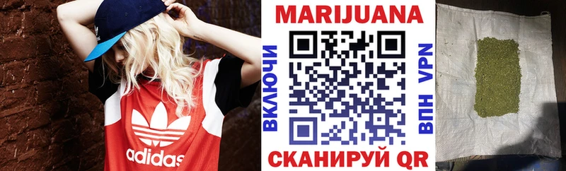 где купить наркотик  Высоцк  МЕГА   Конопля SATIVA & INDICA 